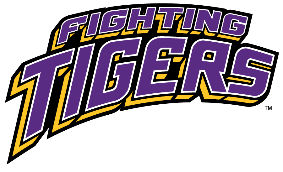 LSU Tigers 2002-2017 Wordmark Logo t shirts iron on transfers